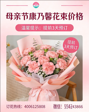 牡丹江林口县花店母亲节康乃馨花束