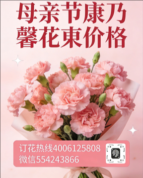 牡丹江林口县花店母亲节康乃馨花束